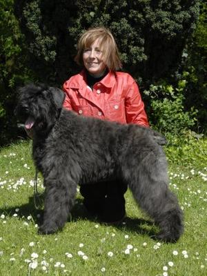 CH, Jnr CH Mon Cher Pollyanna