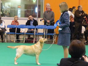 Maddie Crufts 2015 (2nd Postgraduate)