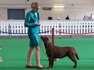 Otta shown by Katie at 7 months
