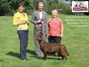 Otta at 9 months winning BMPIS