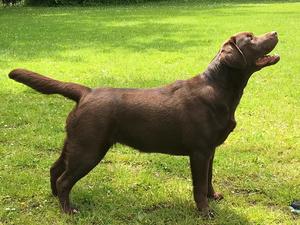 Otta at 7 months