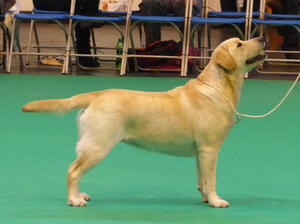 Maddie Crufts 2015