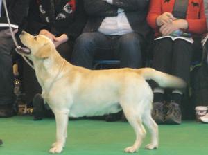 Frankie Crufts 2012