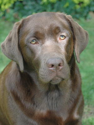 Otta at 9 months