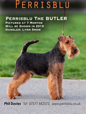 Perrisblu The Butler