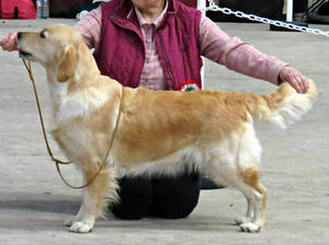 Dotty at a show