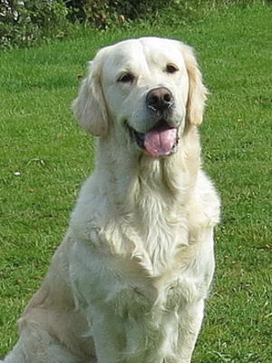 Head photo of Georgie