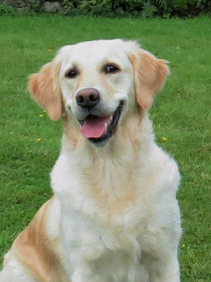 Smiling for the camera