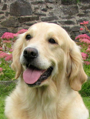 Ellie at 4.5 years