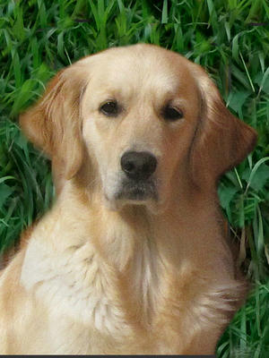 Head shot of Dotty