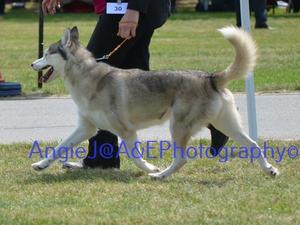 Sakara strutting her stuff in the ring