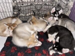 All sleeping