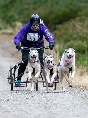 Kelly & Charmedkelz Youngsters 3 dog team