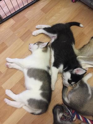 2 boys