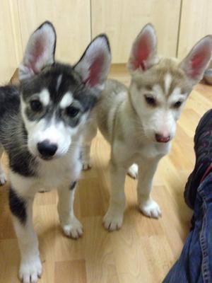Sisters Phoebi & Piper