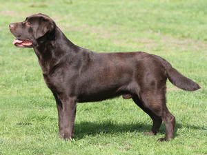 Forest @ 4 years