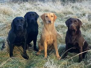 Cacia, left, daughter Teal 2nd left, out working