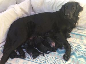 Few hours old