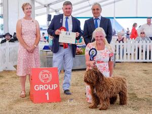 Winning the Gundog Group, 2022