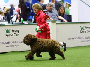 Ria, with 7 year old Charlotte at Crufts 2018