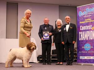 Runner Up UK Contest of Champions 2024