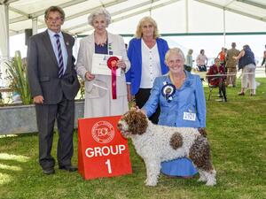 Winning The Gundog Group in 2021
