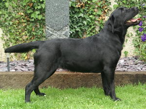 Maisie  At 26 Months