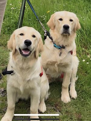 Dynamic duo Skye & brother Fudge