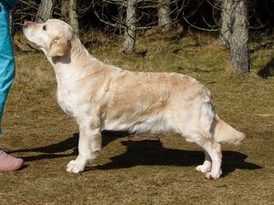 FENPINQUE GLITTERSPELLE. ‘Glow’