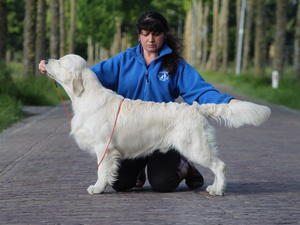 MULTI CH RAMCHAINE MOMENT OF TRUTH