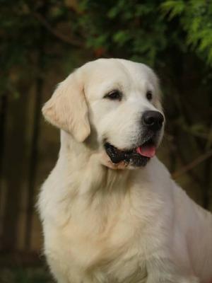 CAN SH CH LINIRGOR SPIN THE BOTTLE