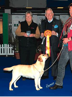 Winning  Pro Plan/ Dog Word Pup of The Year Heat