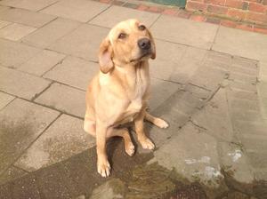 Mum Lucy