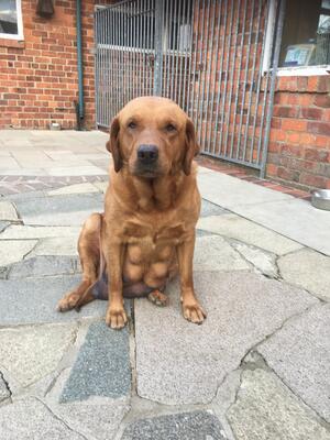 Mum Kiera