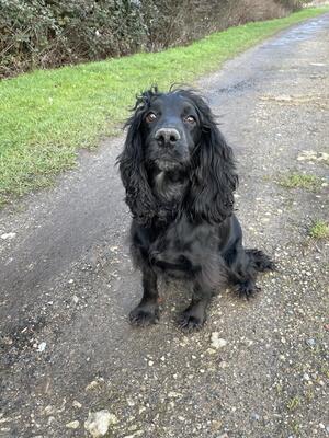 Maggie