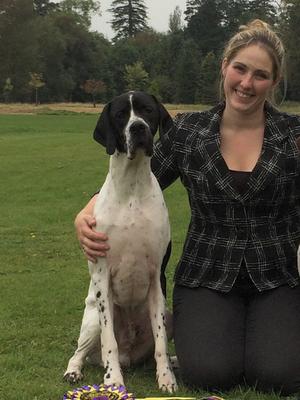 sharnphilly pointers