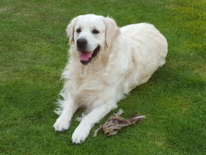 Baxter 02