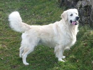 Baxter 03