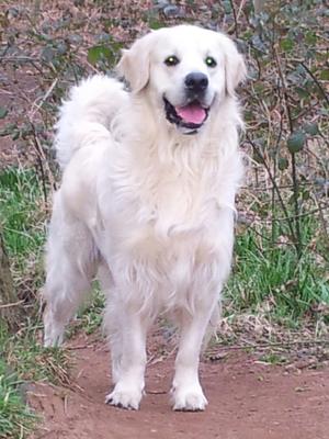 Baxter 01