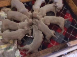 Feeding time!