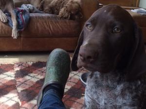 Butter wouldn't melt!