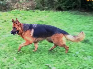 Betty @ 2yrs