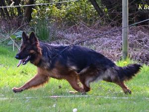 Age 16 months