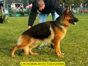 RENZO IN STANCE