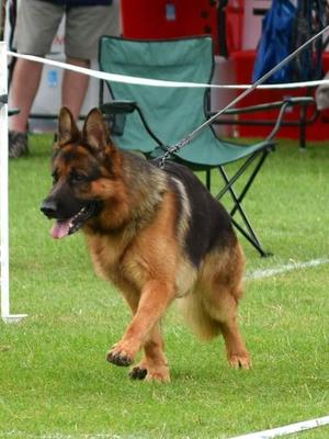 V1 Adult Male at West Yorkshire Regional 2016