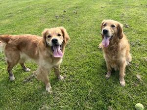 Indigo & her mum Iris