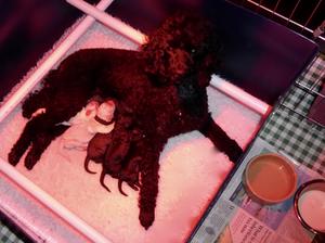 One day old.