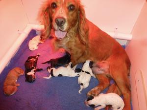 One day old.