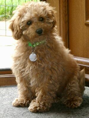 4 months old