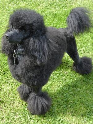 Aged 18 months